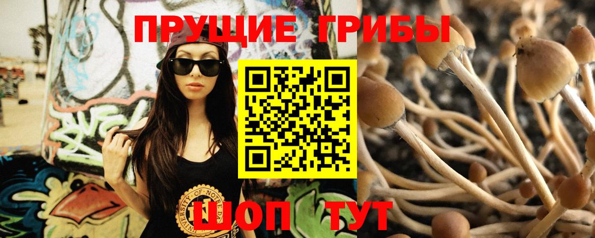 Галлюциногенные грибы Cubensis Златоуст