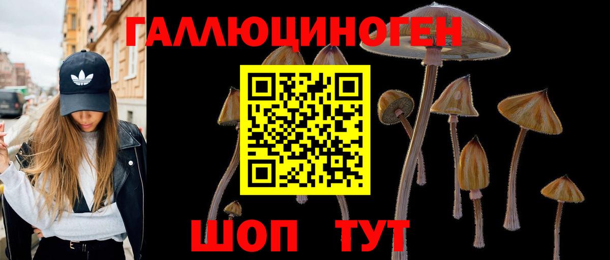 Псилоцибиновые грибы GOLDEN TEACHER  Вход с VPN  Псилоцибиновые грибы MAGIC MUSHROOMS  Златоуст 